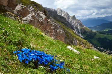 Escursione circolare al Sass de Putia