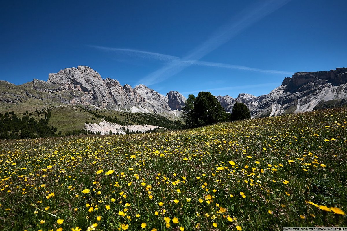  Escursione sul Seceda in Val Gardena