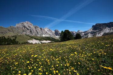 Escursione sul Seceda in Val Gardena