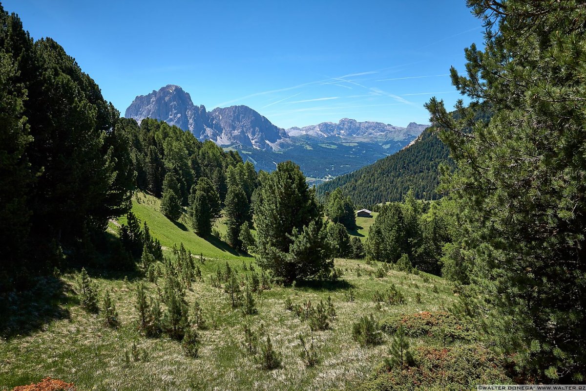  Escursione sul Seceda in Val Gardena