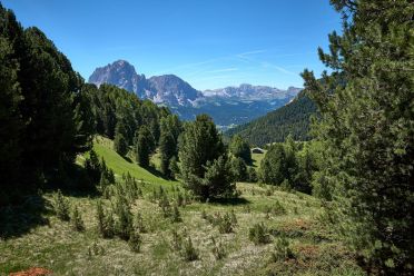 Alto Adige, Trentino, viaggi e varie