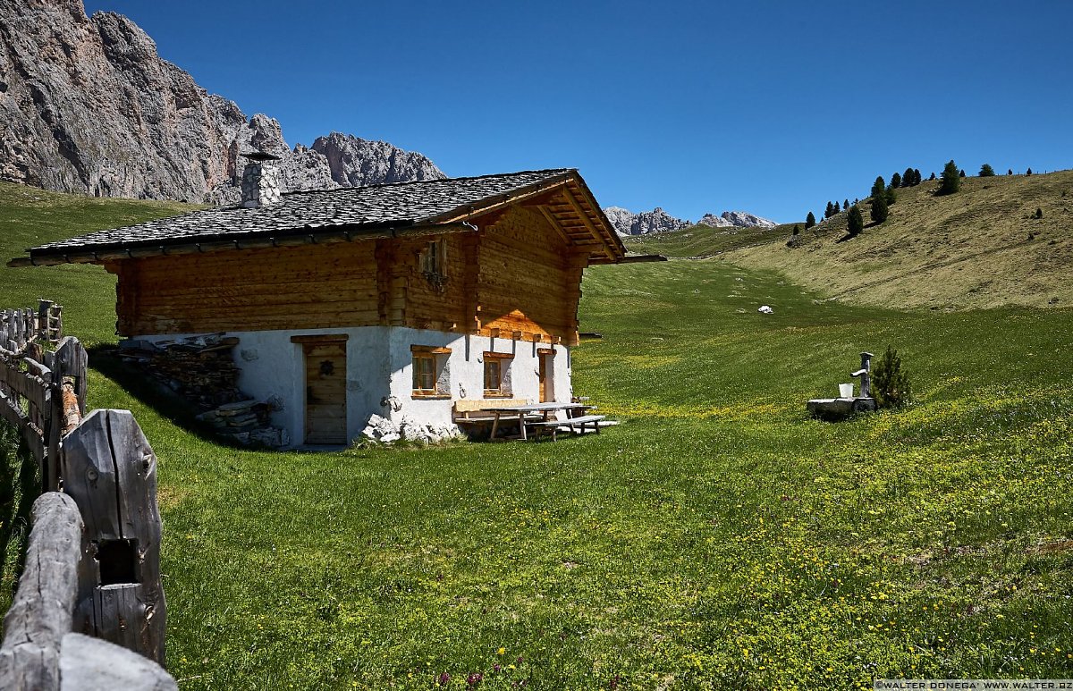  Escursione sul Seceda in Val Gardena