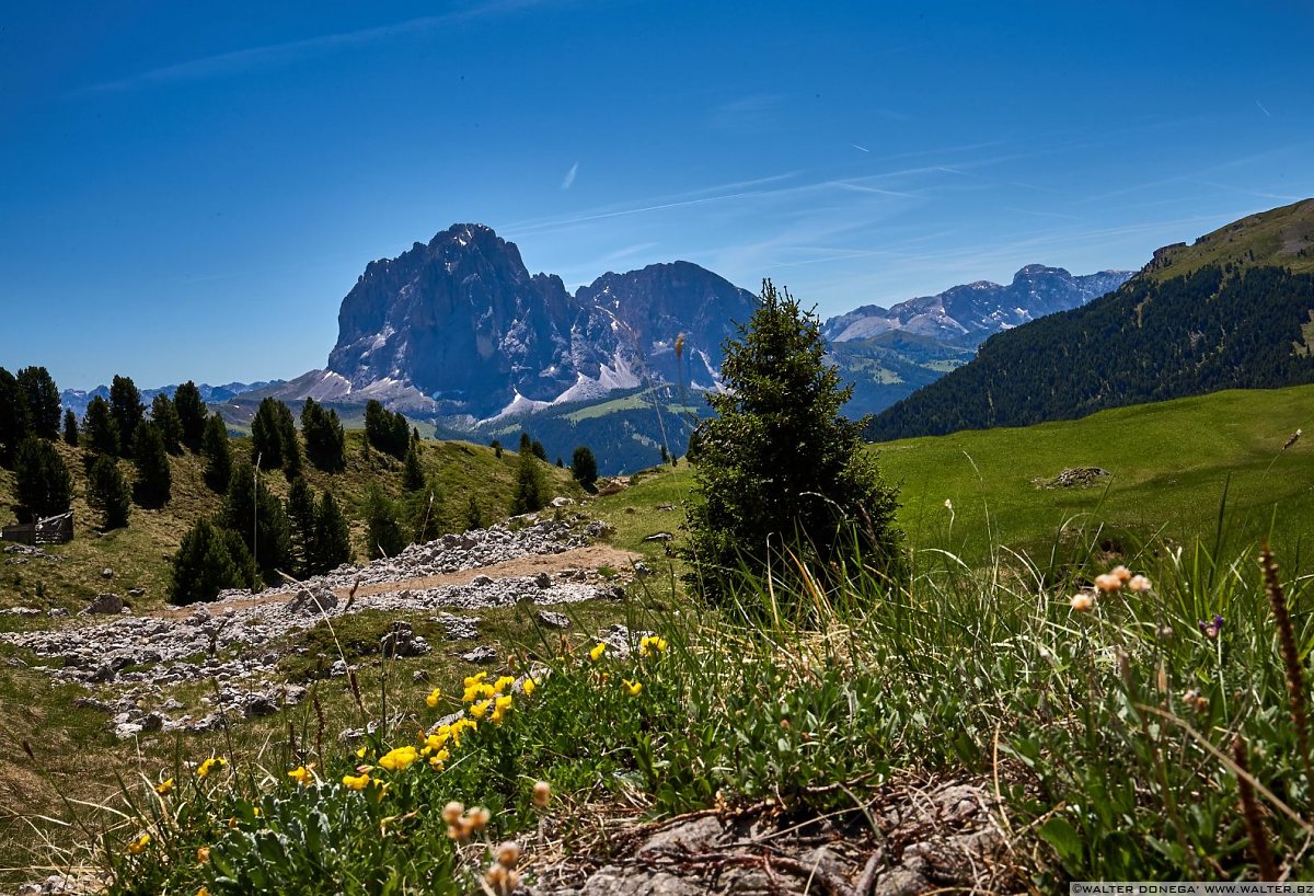  Escursione sul Seceda in Val Gardena