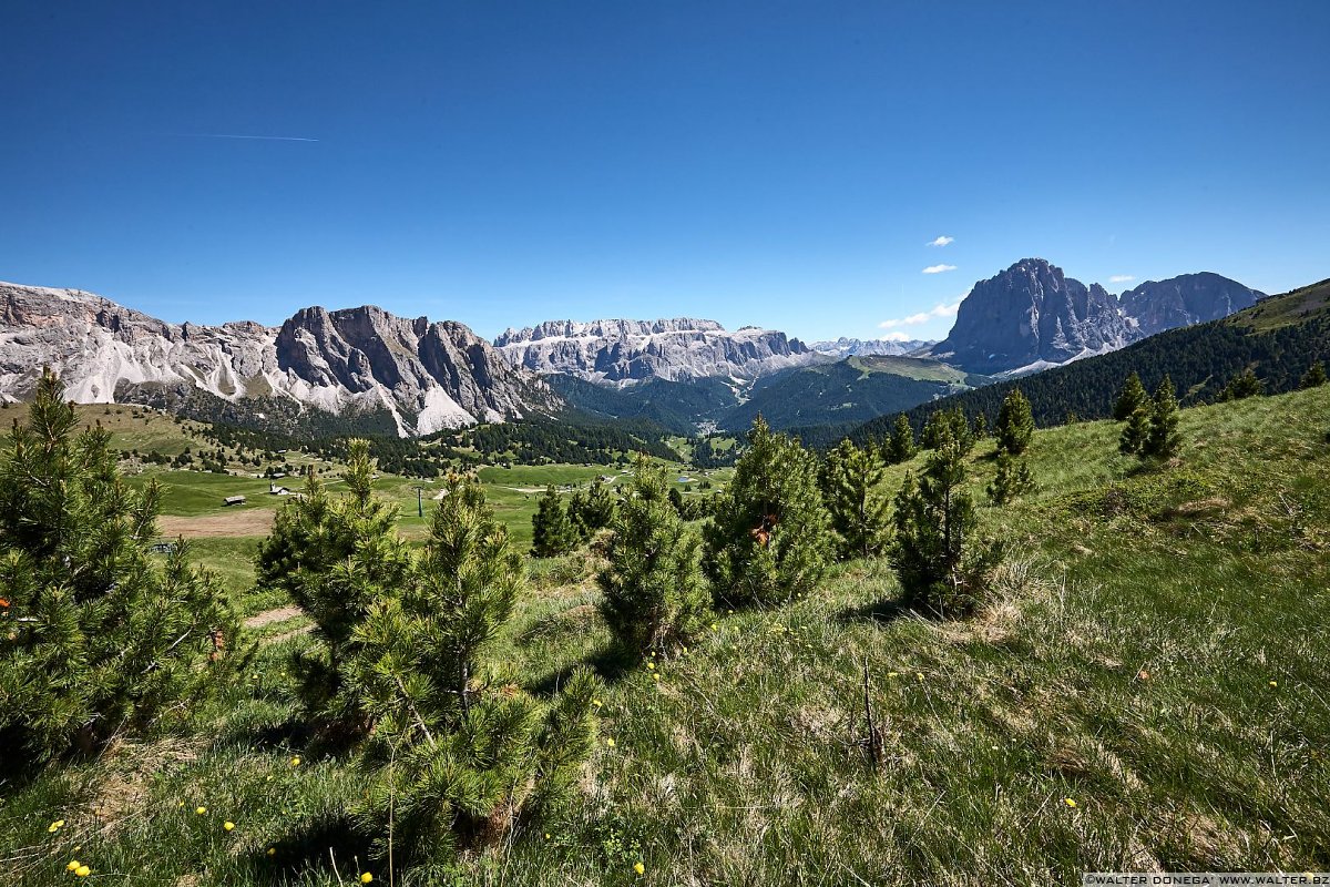  Escursione sul Seceda in Val Gardena