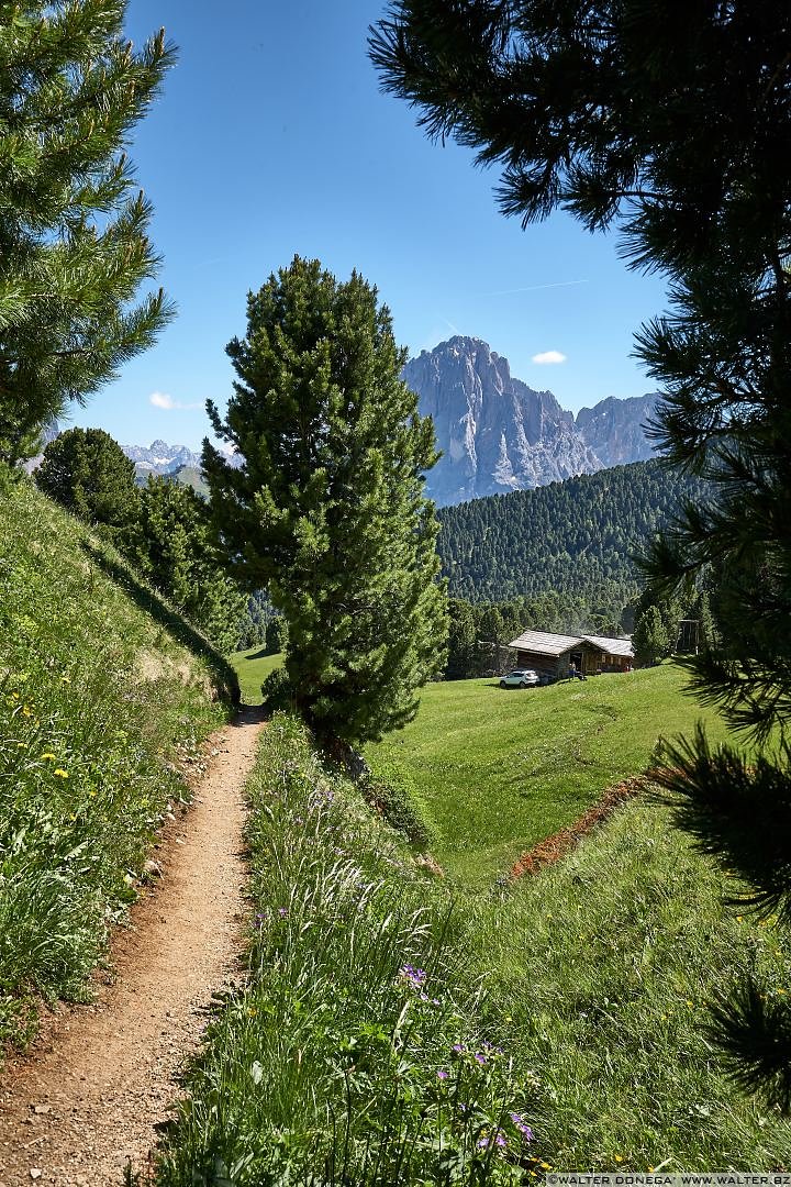  Escursione sul Seceda in Val Gardena