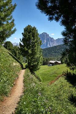 Escursione sul Seceda in Val Gardena