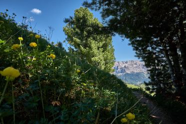 Escursione sul Seceda in Val Gardena