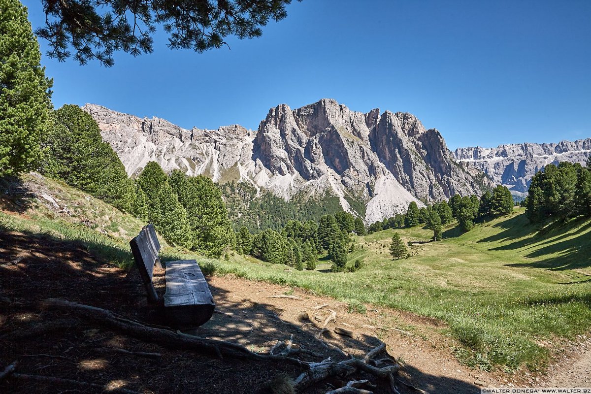  Escursione sul Seceda in Val Gardena