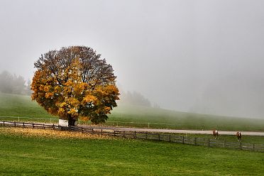 La passeggiata Freud tra Soprabolzano e Collalbo sul Renon