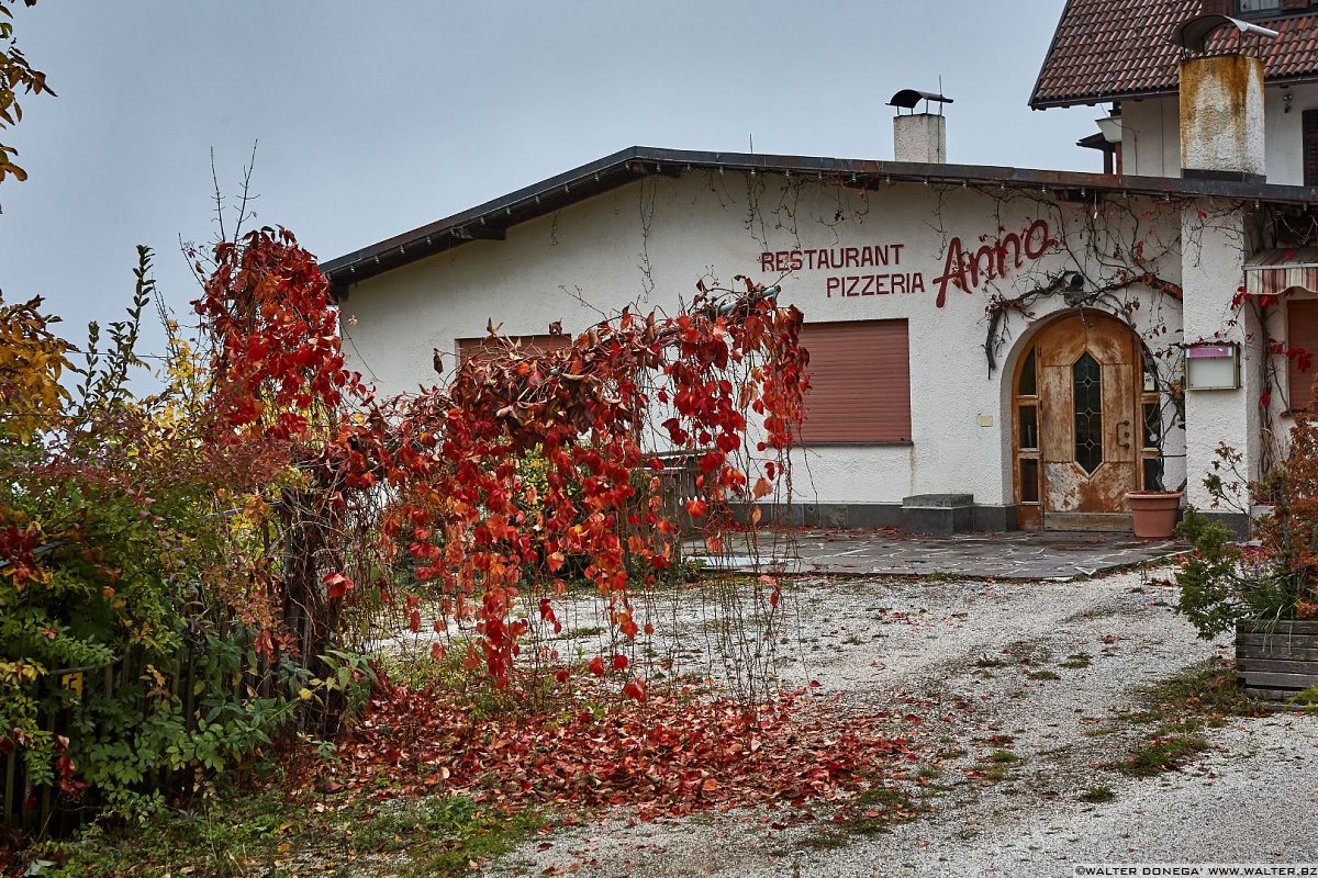  La passeggiata Freud tra Soprabolzano e Collalbo sul Renon