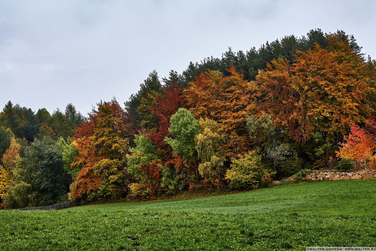  La passeggiata Freud tra Soprabolzano e Collalbo sul Renon