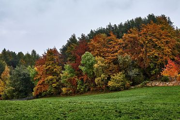 La passeggiata Freud tra Soprabolzano e Collalbo sul Renon