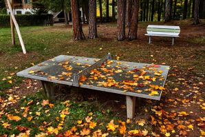 La passeggiata Freud tra Soprabolzano e Collalbo sul Renon
