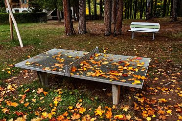 La passeggiata Freud tra Soprabolzano e Collalbo sul Renon