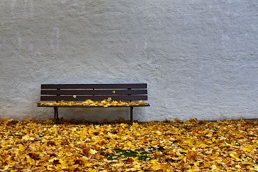 La passeggiata Freud tra Soprabolzano e Collalbo sul Renon