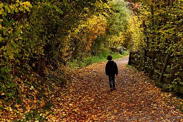 La passeggiata Freud tra Soprabolzano e Collalbo sul Renon