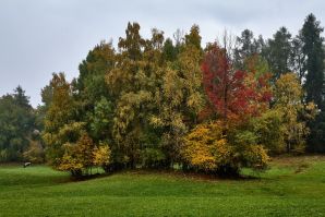 La passeggiata Freud tra Soprabolzano e Collalbo sul Renon