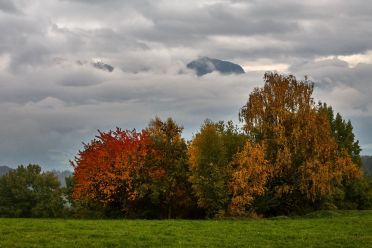 La passeggiata Freud tra Soprabolzano e Collalbo sul Renon