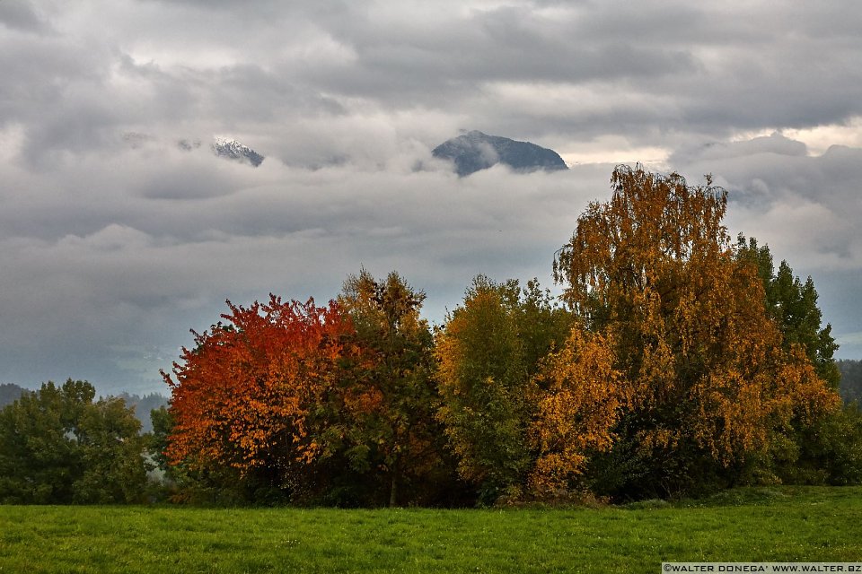La passeggiata Freud tra Soprabolzano e Collalbo sul Renon