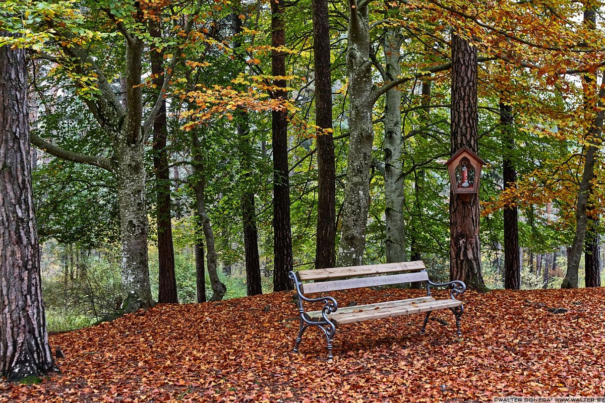  La passeggiata Freud tra Soprabolzano e Collalbo sul Renon