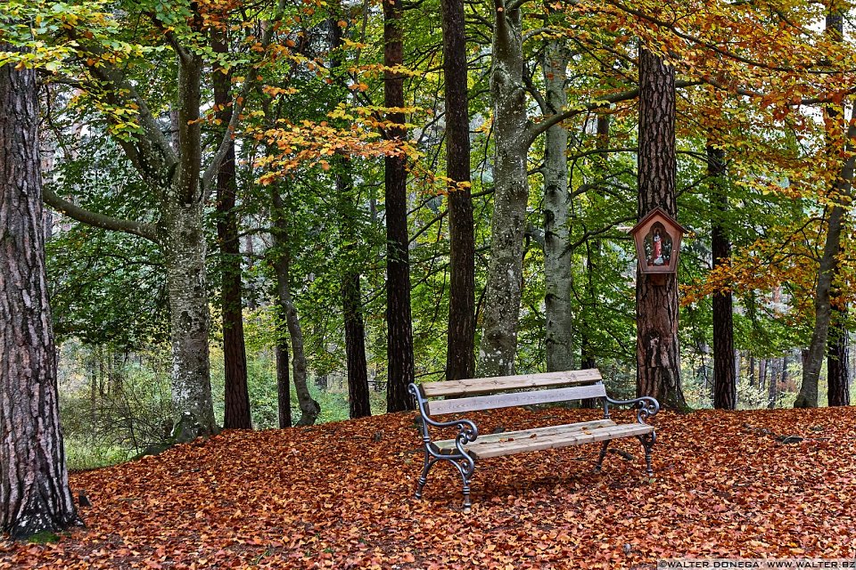 La passeggiata Freud tra Soprabolzano e Collalbo sul Renon