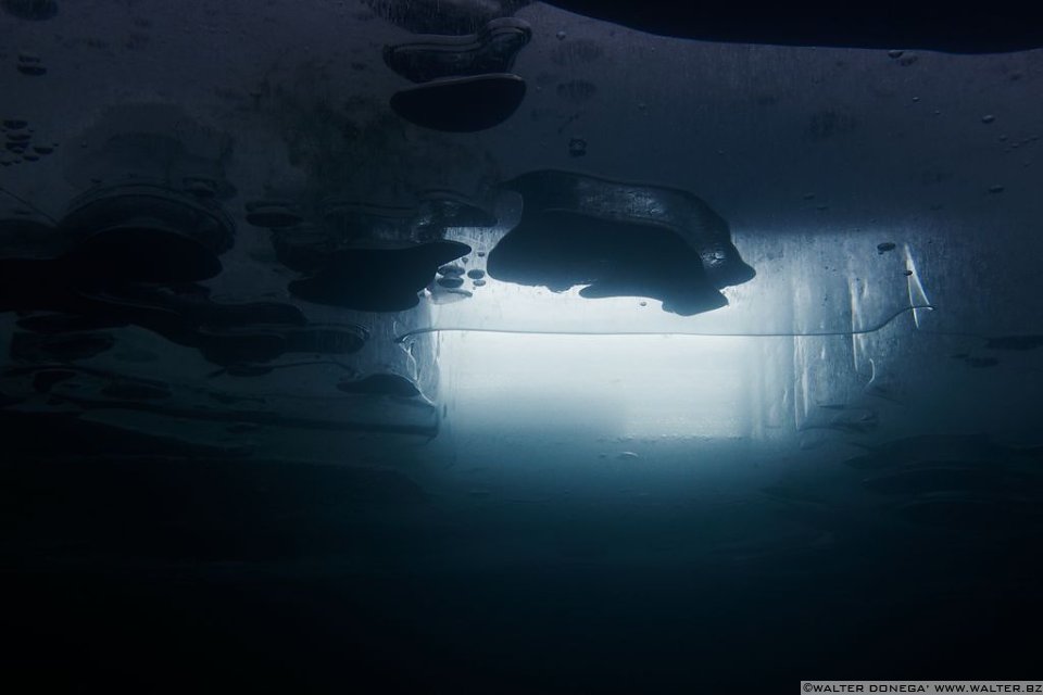 Sotto il ghiaccio - 16 Sotto il ghiaccio Valdurna