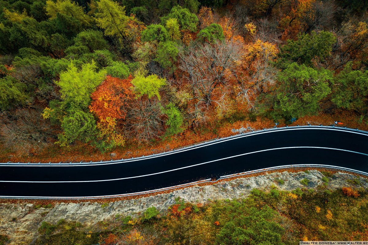 SS 42 La strada della Mendola da Appiano al Passo Mendola