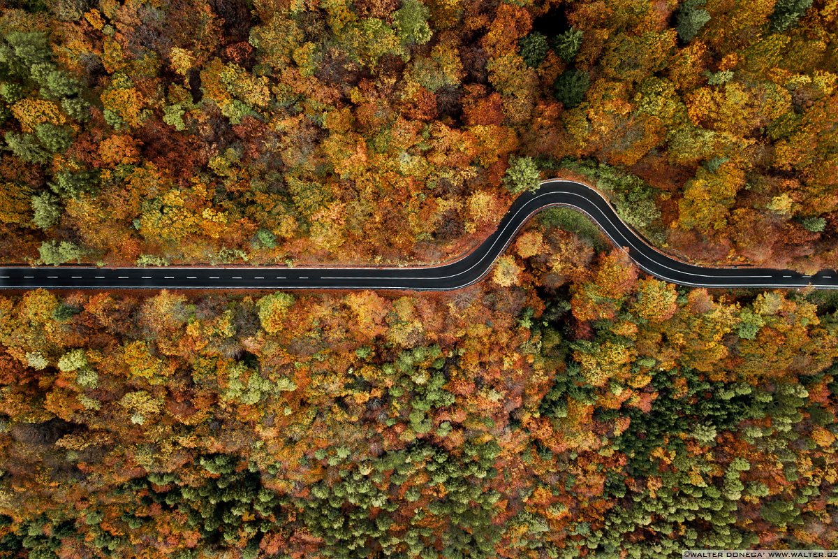 SS 42 La strada della Mendola da Appiano al Passo Mendola
