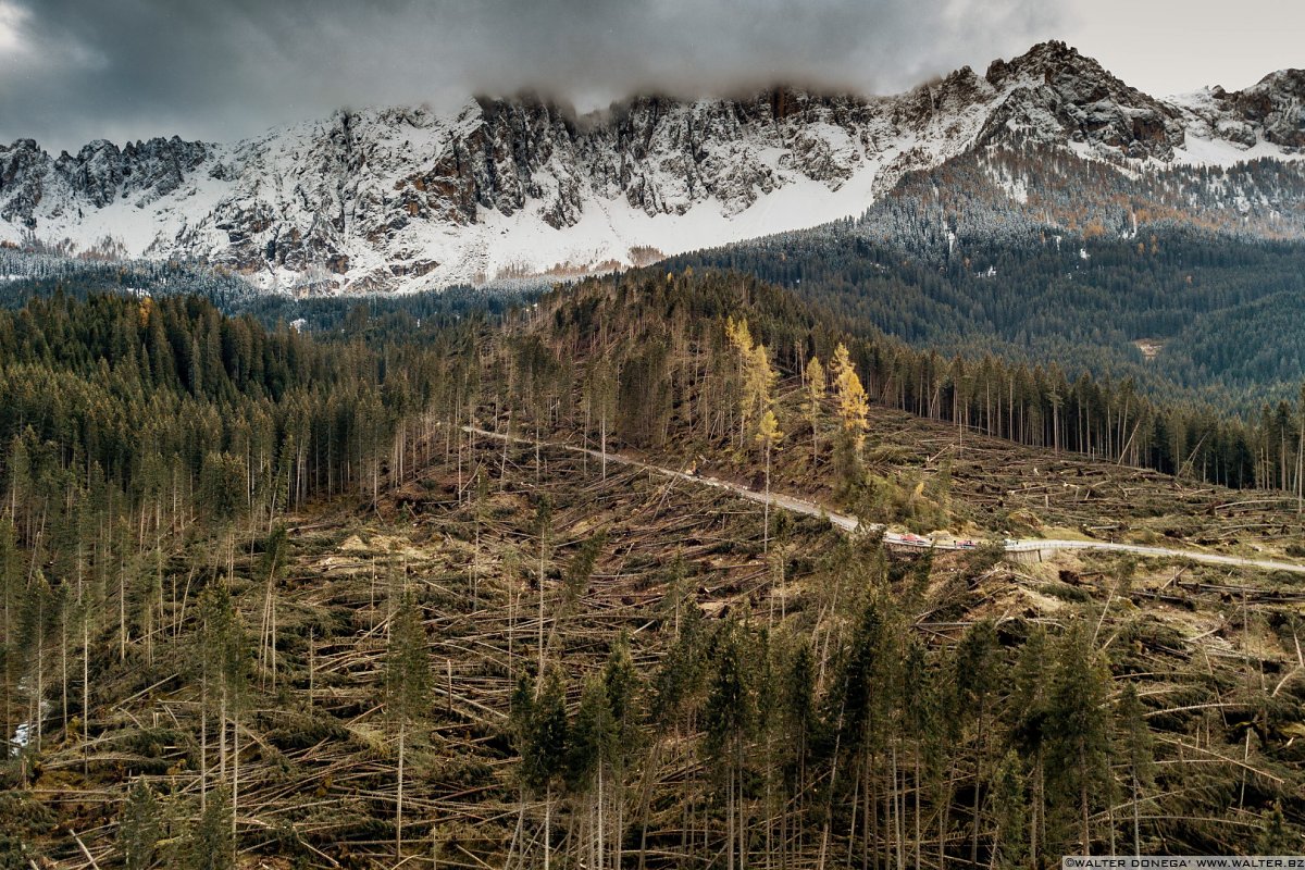 I boschi attorno al Lago di Carezza dopo la tempesta di vento dell'ottobre 2018