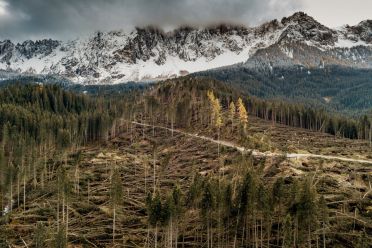 I boschi attorno al Lago di Carezza dopo la tempesta di vento dell'ottobre 2018