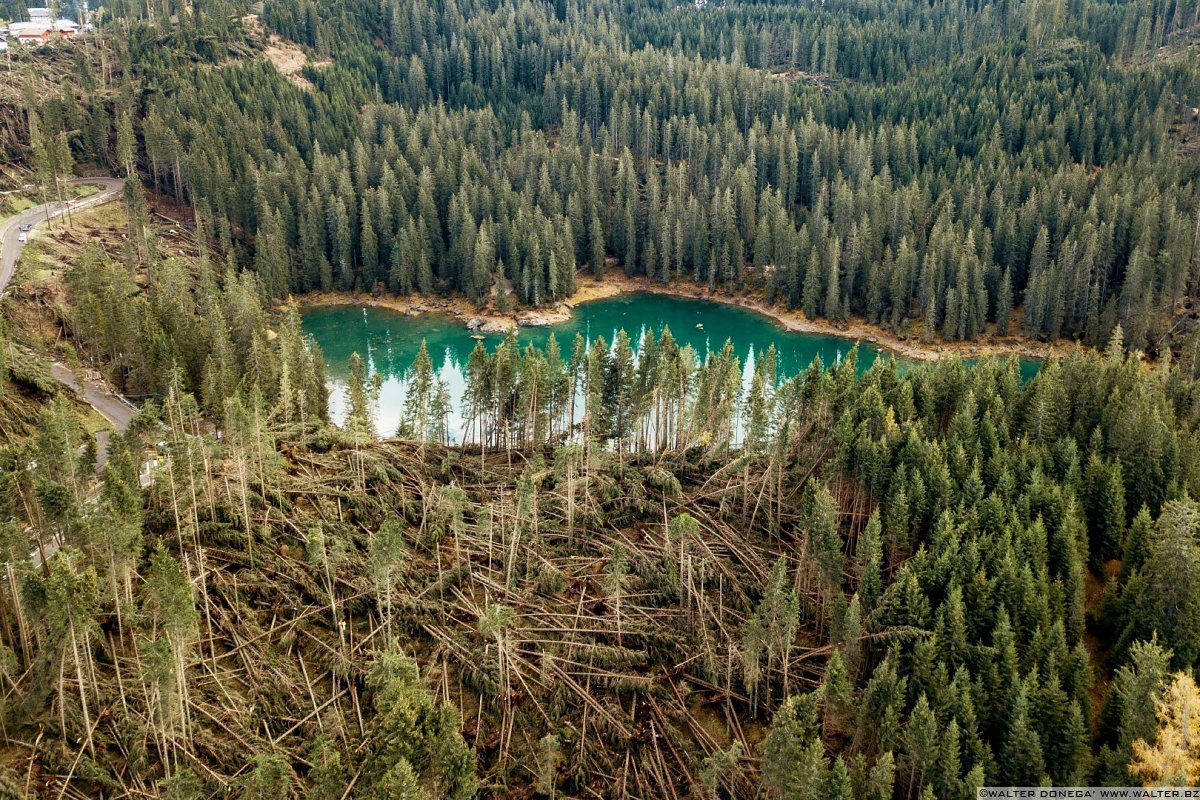 I boschi attorno al Lago di Carezza dopo la tempesta di vento dell'ottobre 2018