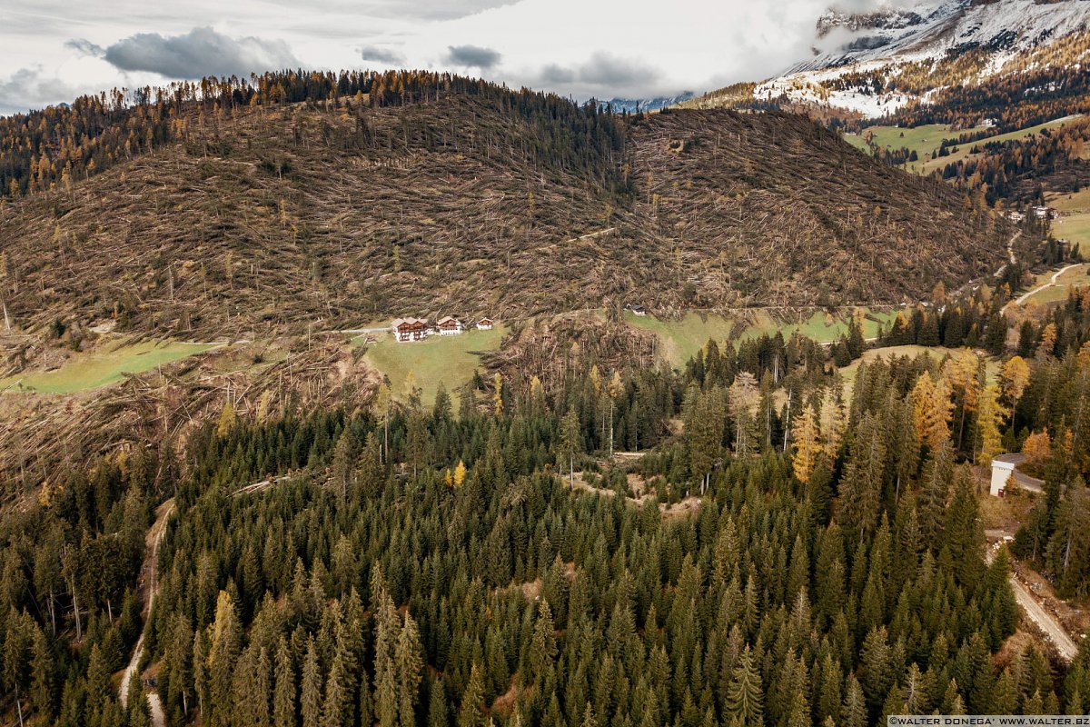 I boschi attorno al Lago di Carezza dopo la tempesta di vento dell'ottobre 2018