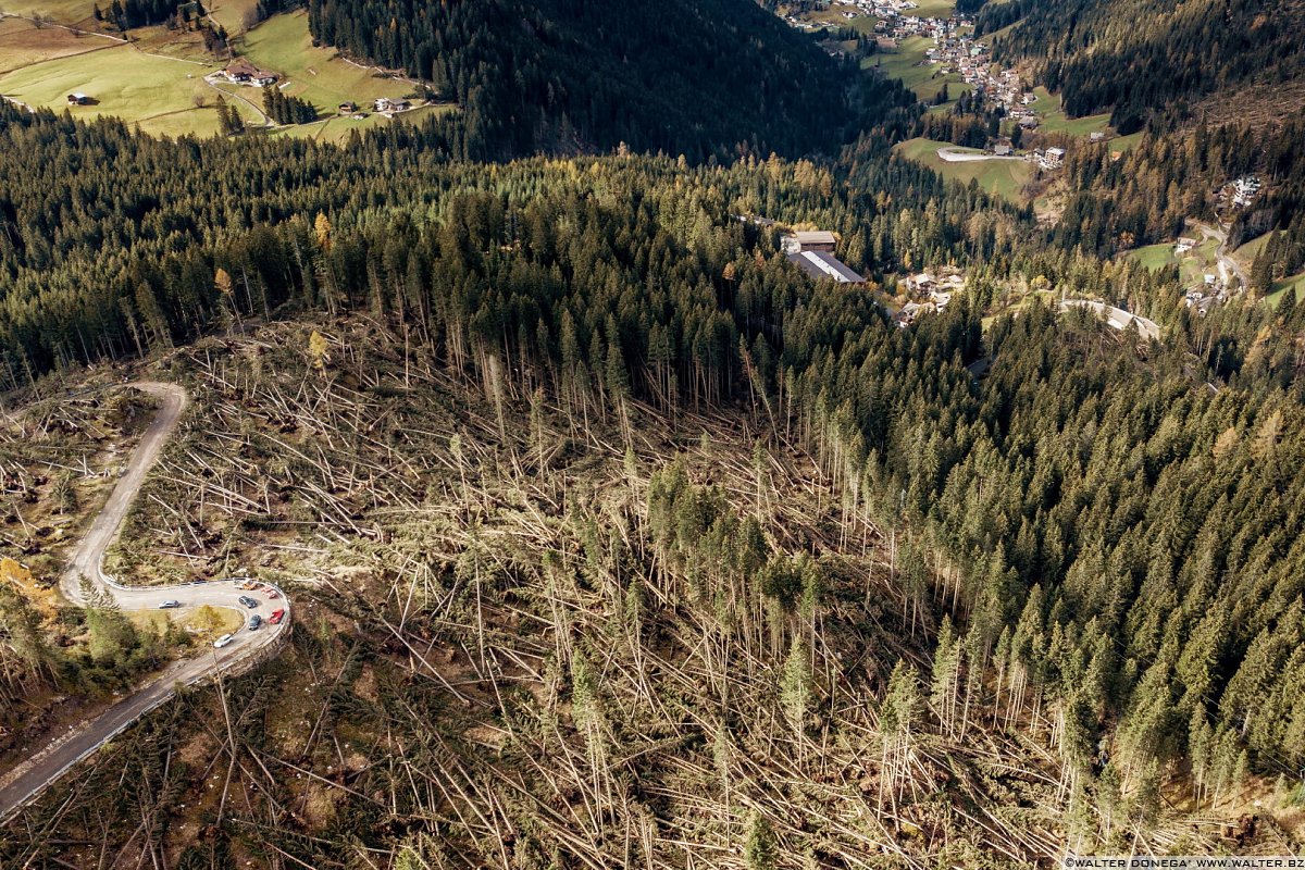I boschi attorno al Lago di Carezza dopo la tempesta di vento dell'ottobre 2018
