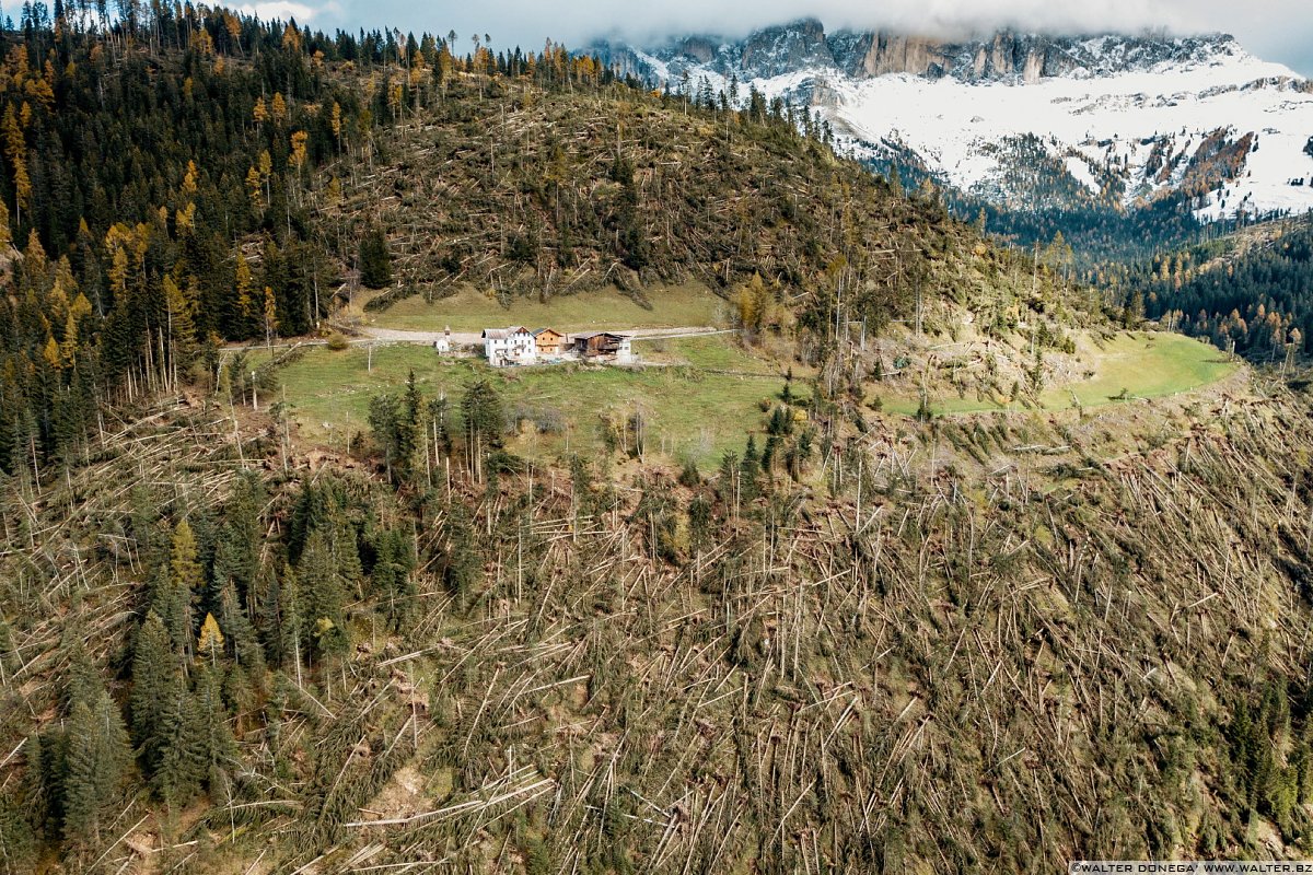 I boschi attorno al Lago di Carezza dopo la tempesta di vento dell'ottobre 2018