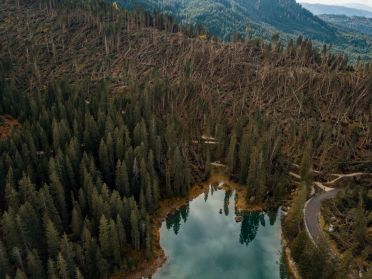 I boschi attorno al Lago di Carezza dopo la tempesta di vento dell'ottobre 2018