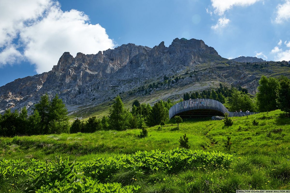 Escursione al Rifugio Torre di Pisa sul Latemar