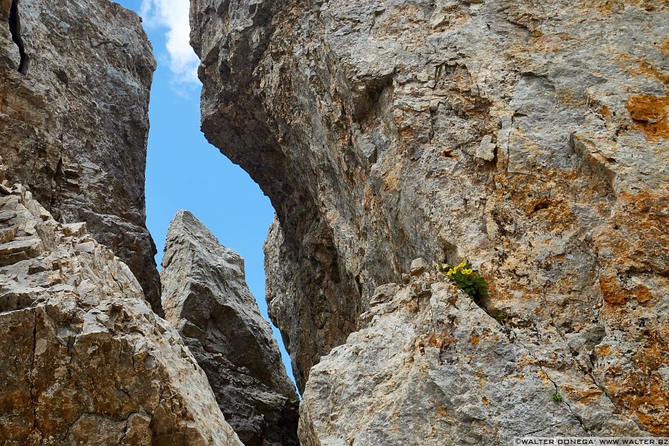 Escursione al Rifugio Torre di Pisa sul Latemar