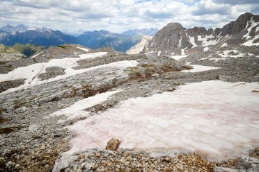 Escursione al Rifugio Torre di Pisa sul Latemar