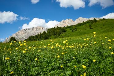 Escursione al Rifugio Torre di Pisa sul Latemar