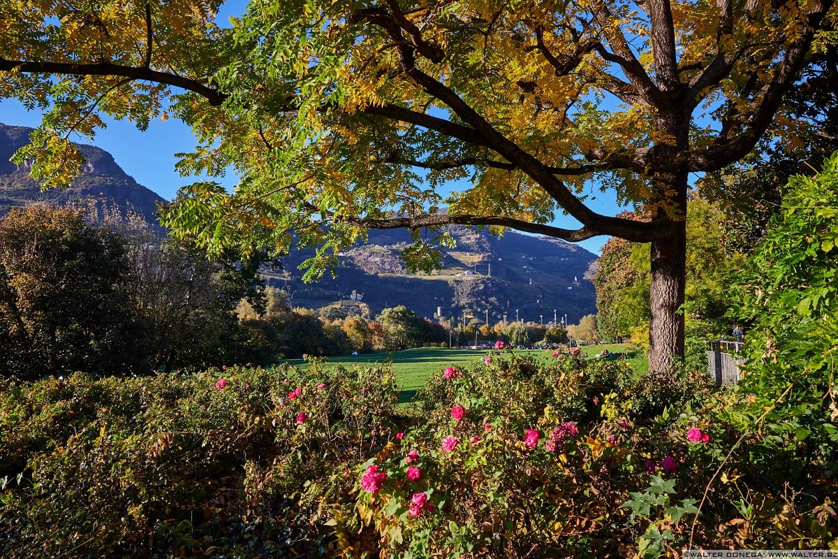  Tramonto autunnale a Bolzano