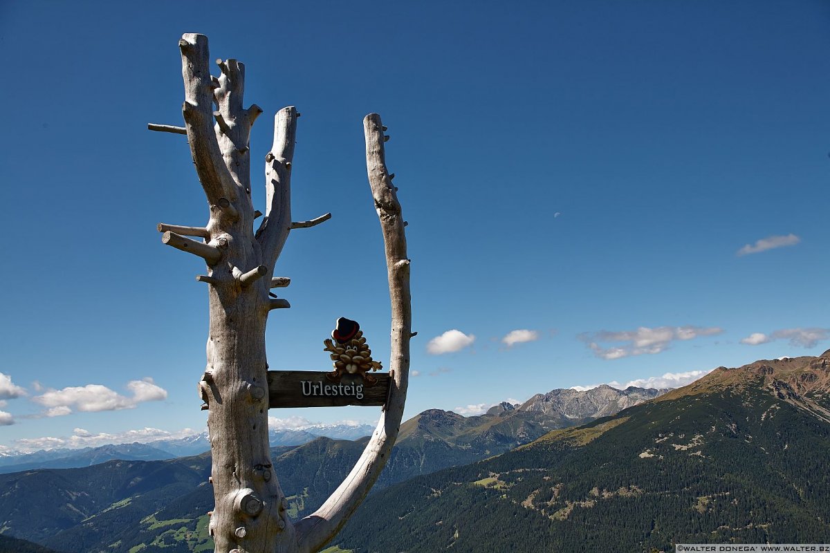 IMG_6849 Urlesteig – il percorso naturalistico in Val Sarentino Reinswald