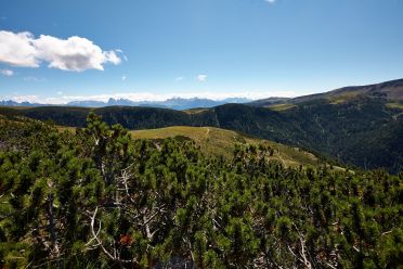 Urlesteig – il percorso naturalistico in Val Sarentino Reinswald