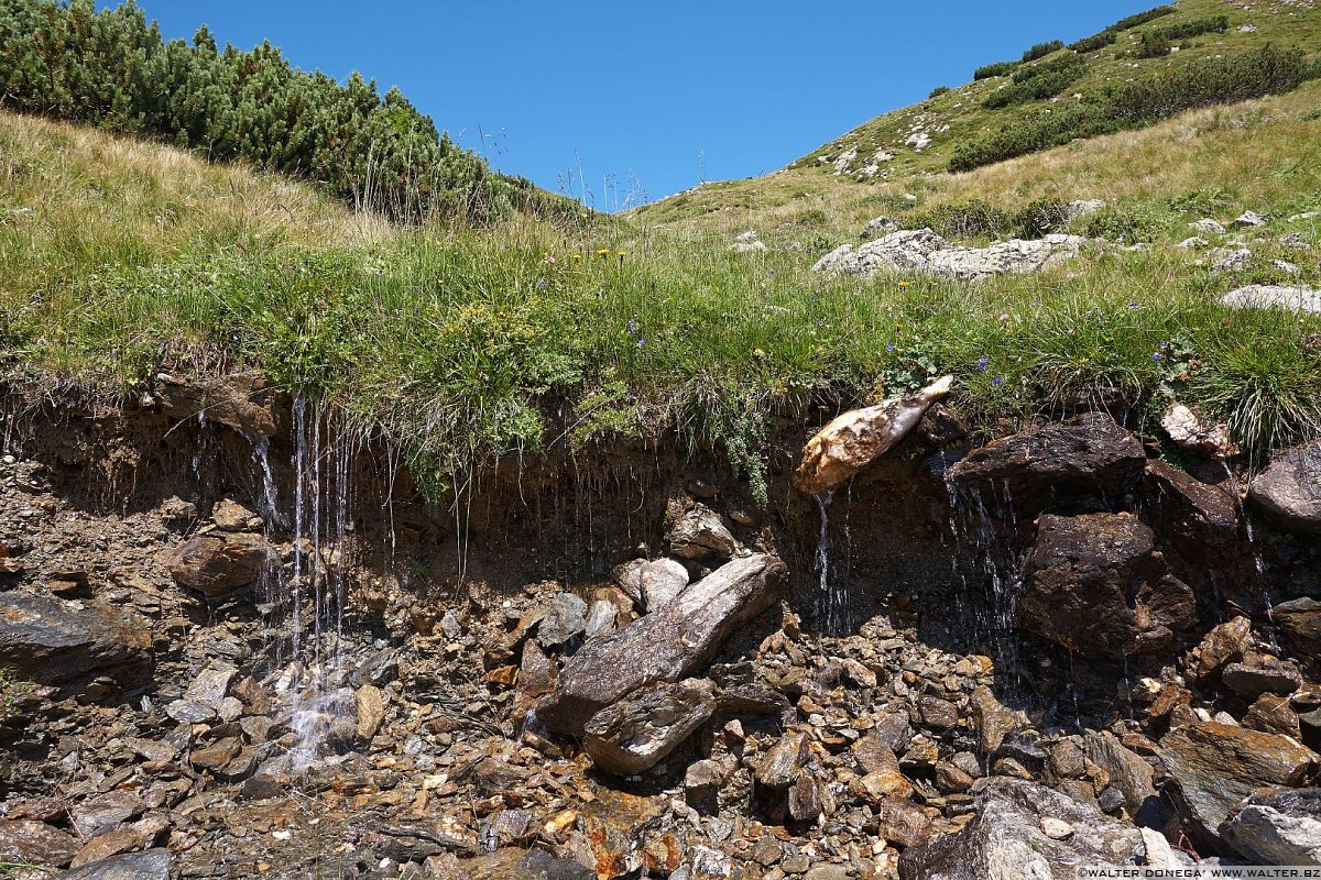 IMG_6869 Urlesteig – il percorso naturalistico in Val Sarentino Reinswald