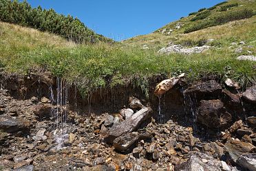 Urlesteig – il percorso naturalistico in Val Sarentino Reinswald