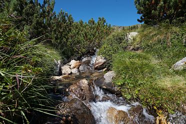 Urlesteig – il percorso naturalistico in Val Sarentino Reinswald