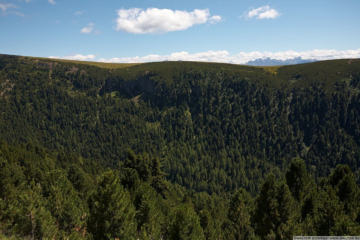 IMG_6885 Urlesteig – il percorso naturalistico in Val Sarentino Reinswald