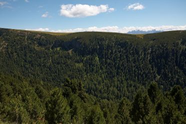 Urlesteig – il percorso naturalistico in Val Sarentino Reinswald