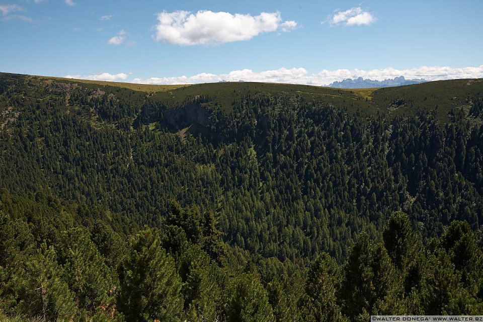 IMG_6885 Urlesteig – il percorso naturalistico in Val Sarentino Reinswald