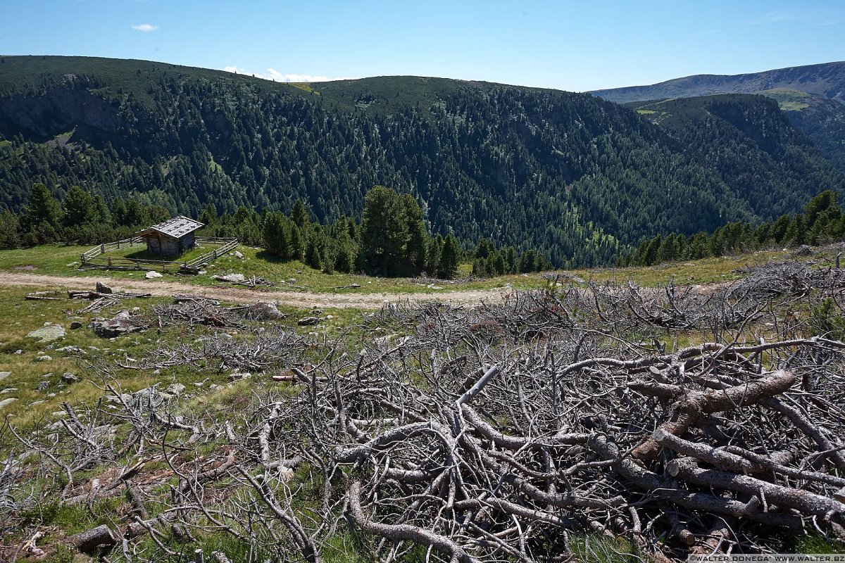 IMG_6887 Urlesteig – il percorso naturalistico in Val Sarentino Reinswald
