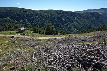 Urlesteig – il percorso naturalistico in Val Sarentino Reinswald